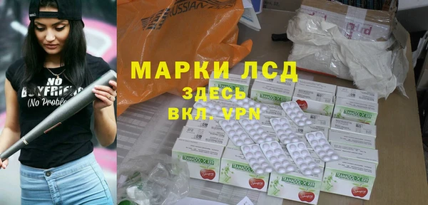 сатива Аркадак