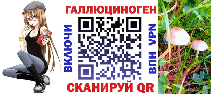 Галлюциногенные грибы GOLDEN TEACHER  Сосновка 