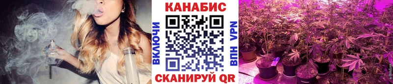 mega зеркало  Сосновка  Каннабис семена 